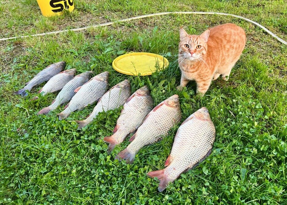 Офисы по адресу 